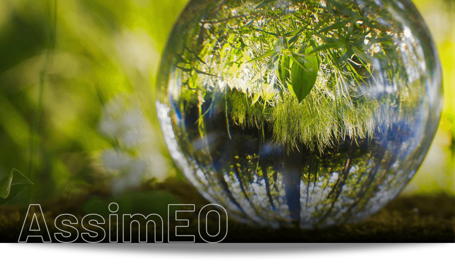 AssimEO