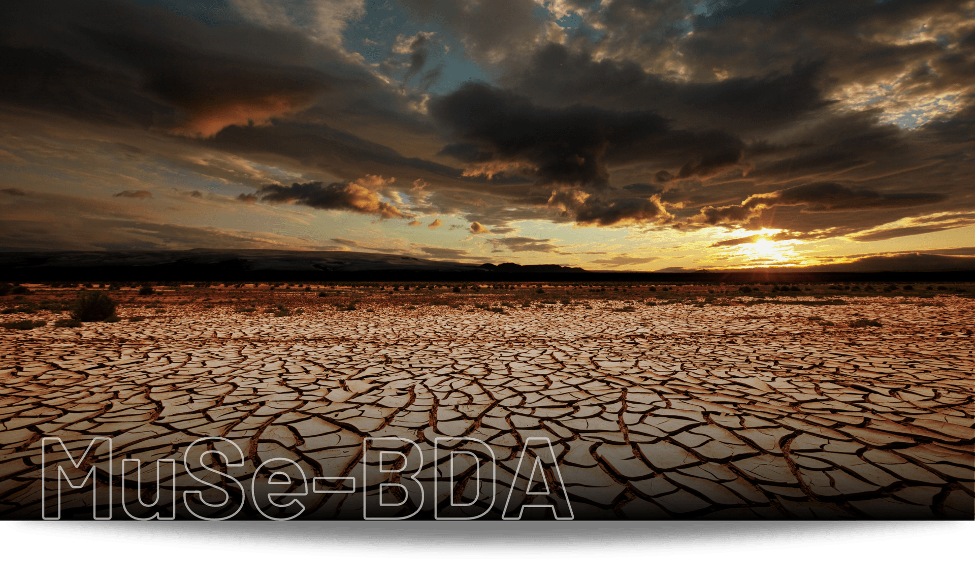 MuSe BDA